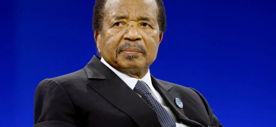 Cameroon’s President Paul Biya declared election winner | News