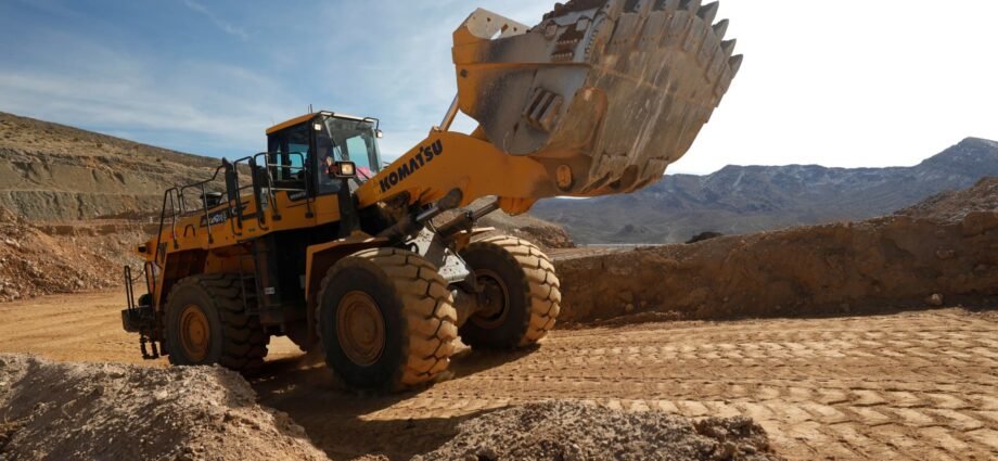 China delays export controls after Trump-Xi summit