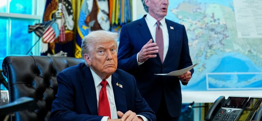 Trilogy Metals shares surge after U.S. takes stake in minerals firm