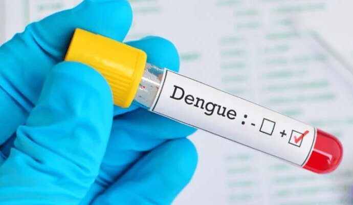 1528950 102041 updates