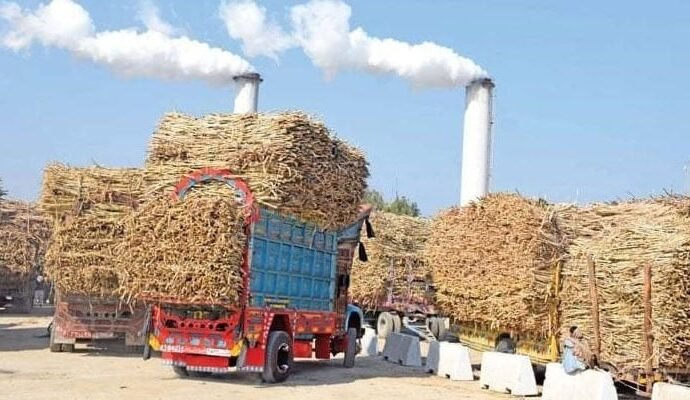 1530431 101555 updates