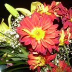 THE PARTING GIFT (1970) 29 PARTING GIFT