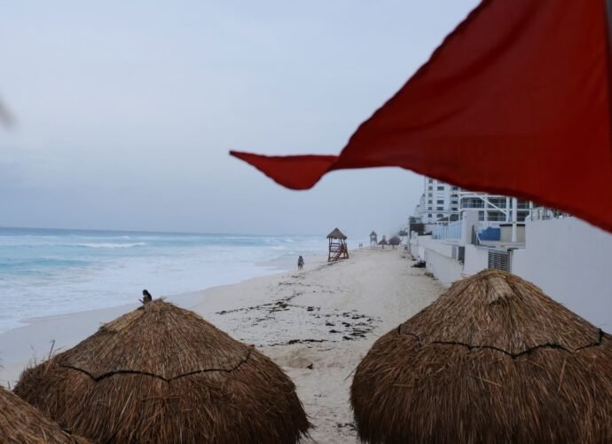 VC who backed billion-dollar AI firm shares two red flags in founders