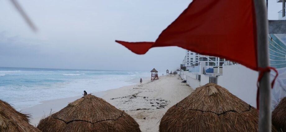 VC who backed billion-dollar AI firm shares two red flags in founders