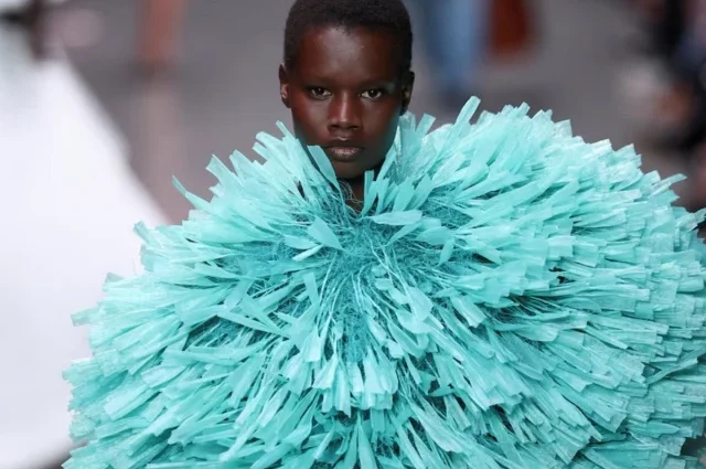 stella 21759305328 0 640x480.webp