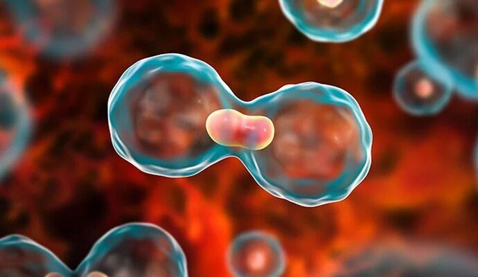 1538339 122106 updates