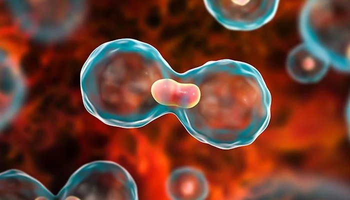 شراب نوشی سے کینسر کا خطرہ بڑھ جاتا ہے: تحقیق 1 1538339 122106 updates