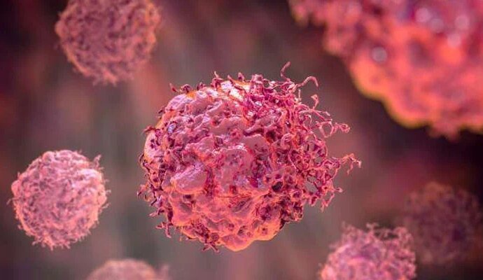 1541680 114100 updates