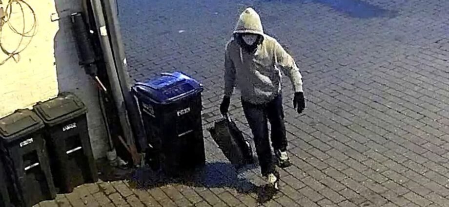 FBI arrests suspect in Jan. 6 pipe bomb case: MS NOW 1 FBI arrests suspect in Jan. 6 pipe bomb case: MS NOW