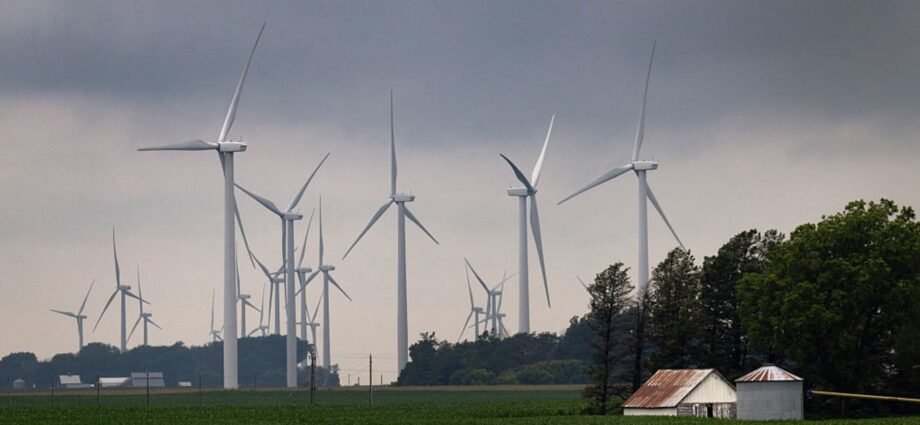 Trump ban on wind power projects overturned by federal judge