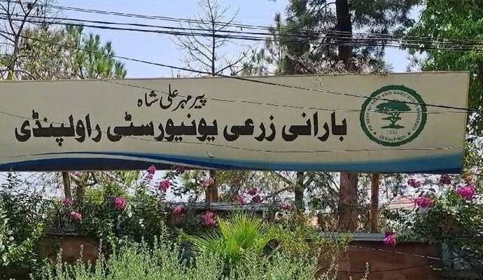 1545215 022027 updates