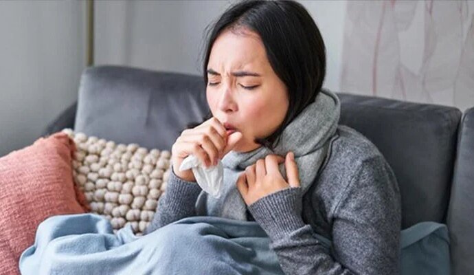 1546740 115815 updates