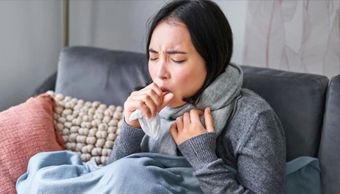 1546740 115815 updates