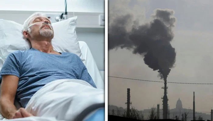 1548650 114717 updates