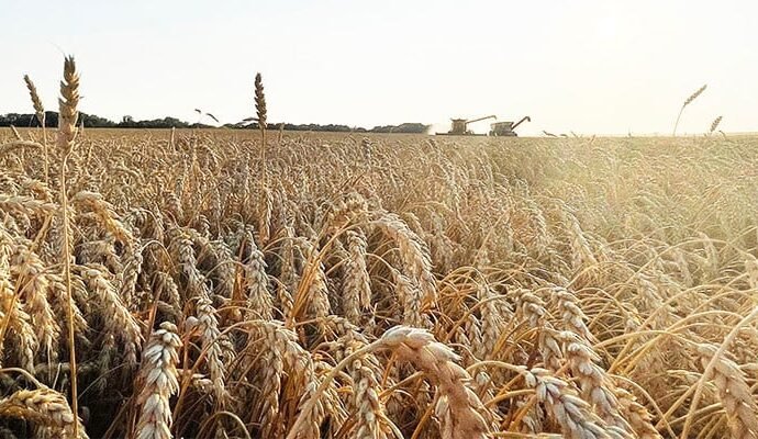 1549055 042414 updates