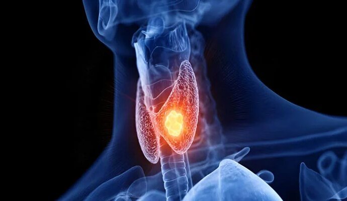 1550506 023834 updates