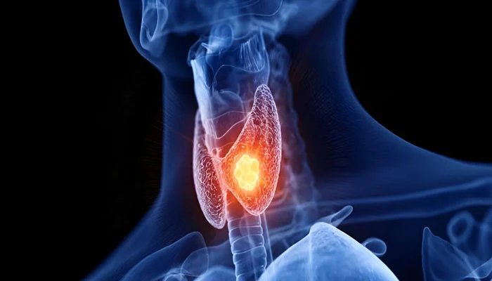 1550506 023834 updates