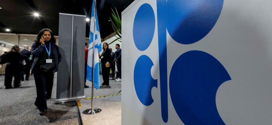 OPEC+ keeps oil output steady amid turmoil among members