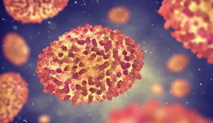 1553276 022523 updates