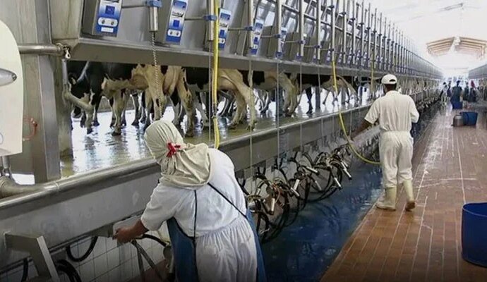 1554784 013317 updates