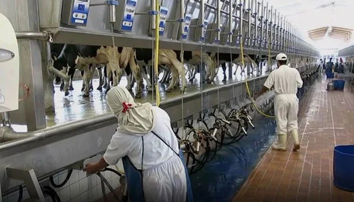 1554784 013317 updates