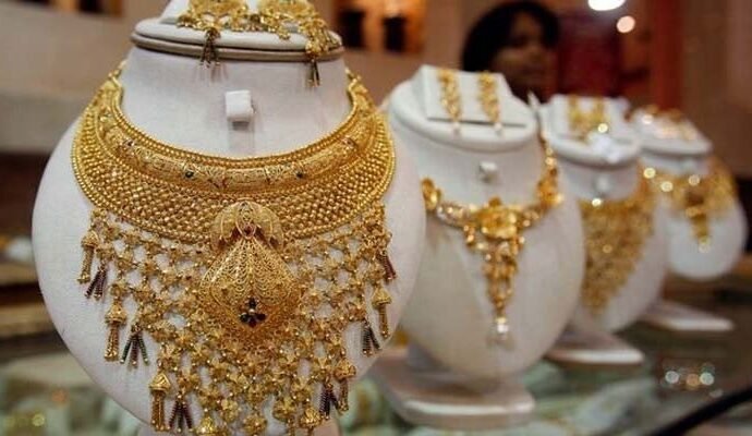 1558666 010156 updates