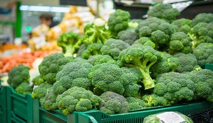 1559269 104109 updates