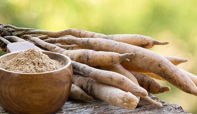 1559807 125748 updates