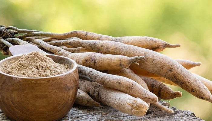 1559807 125748 updates