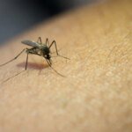 1568036 012837 updates