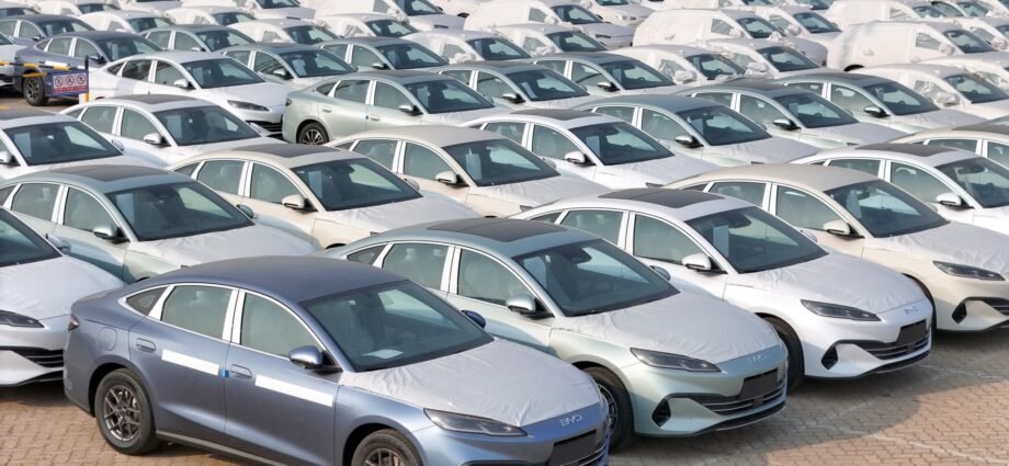 China's BYD sees first profit drop since 2021