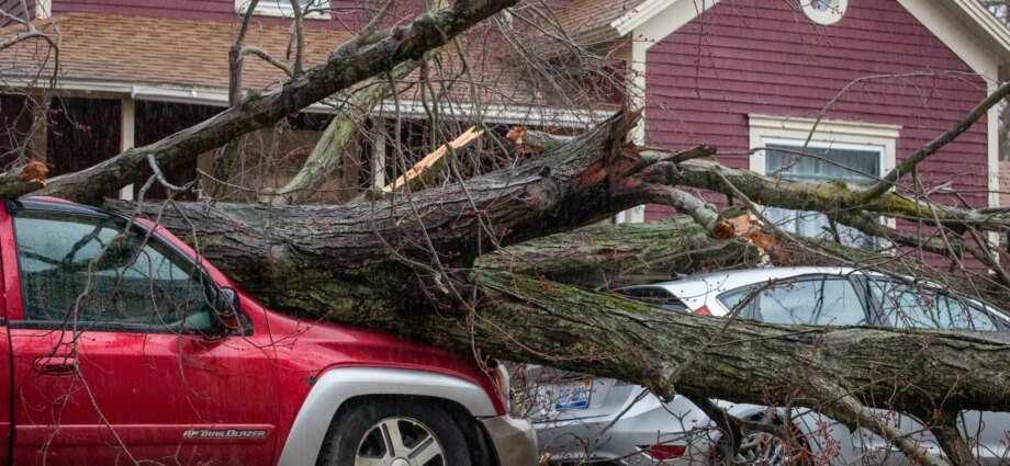 Tornadoes across central United States kill at least eight people | Weather News