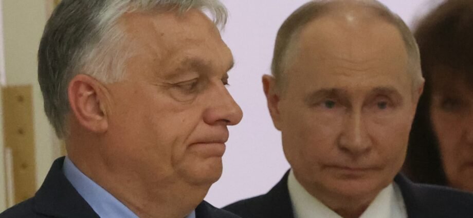 Hungary's Orban concedes landmark defeat to centre-right opposition 1 Hungary's Orban concedes landmark defeat to centre-right opposition