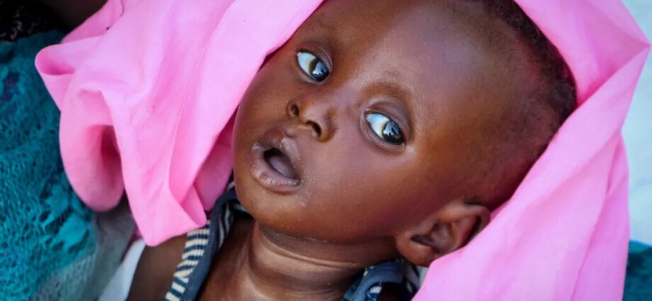 Nearly eight million people in South Sudan at risk of acute hunger: NGOs | Conflict News