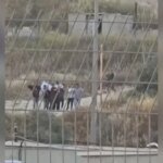 Palestinian family says settlers forced them to exhume father’s body | Benjamin Netanyahu News
